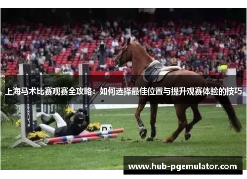 上海马术比赛观赛全攻略：如何选择最佳位置与提升观赛体验的技巧