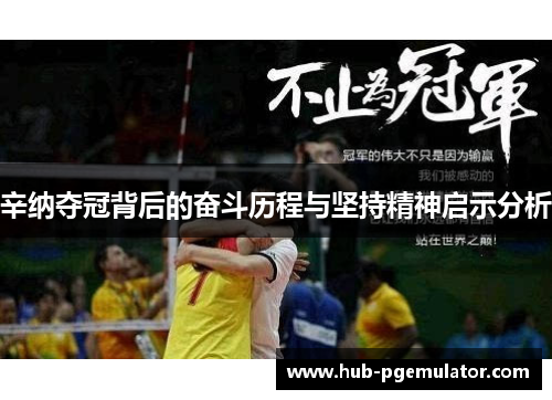 辛纳夺冠背后的奋斗历程与坚持精神启示分析