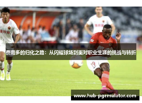 费南多的归化之路：从闪耀球场到面对职业生涯的挑战与转折