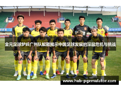 金元足球梦碎广州队解散揭示中国足球发展的深层危机与挑战