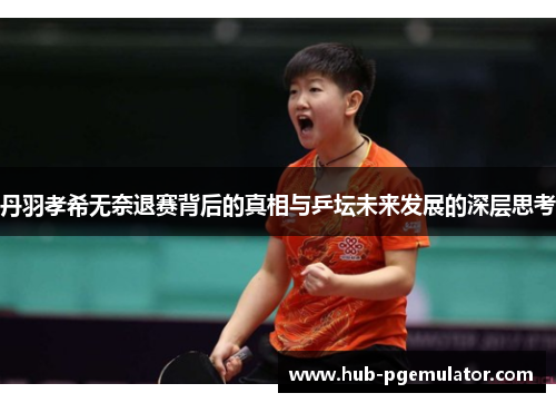 丹羽孝希无奈退赛背后的真相与乒坛未来发展的深层思考