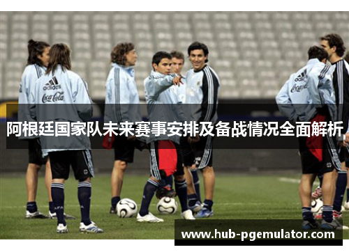 阿根廷国家队未来赛事安排及备战情况全面解析