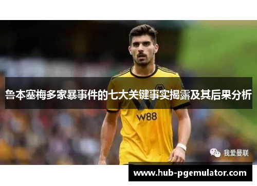 鲁本塞梅多家暴事件的七大关键事实揭露及其后果分析